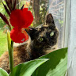 Meet your Posher, Katie